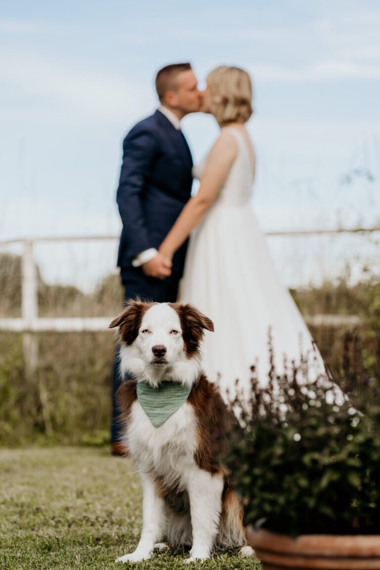 After-Wedding: Nicht ohne unseren Hund. | Brini und Chris